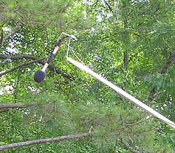 Boom Pole