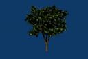 Test Tree Render From Blender