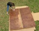 Painting the Door