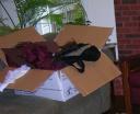 We grabbed the props we’d need on the day before the outdoor shoot.